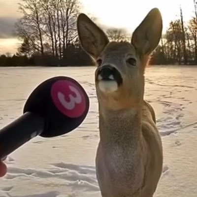 aoradios's profile picture. L