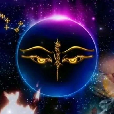 Qingping Wang Profile