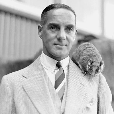 hdhdnxh627w7w's profile picture. I was a Ian Dargie Colts Assistant-Coach with an 0-36 record. Economics/Linguistics/Football/Cricket 🇮🇹🦘