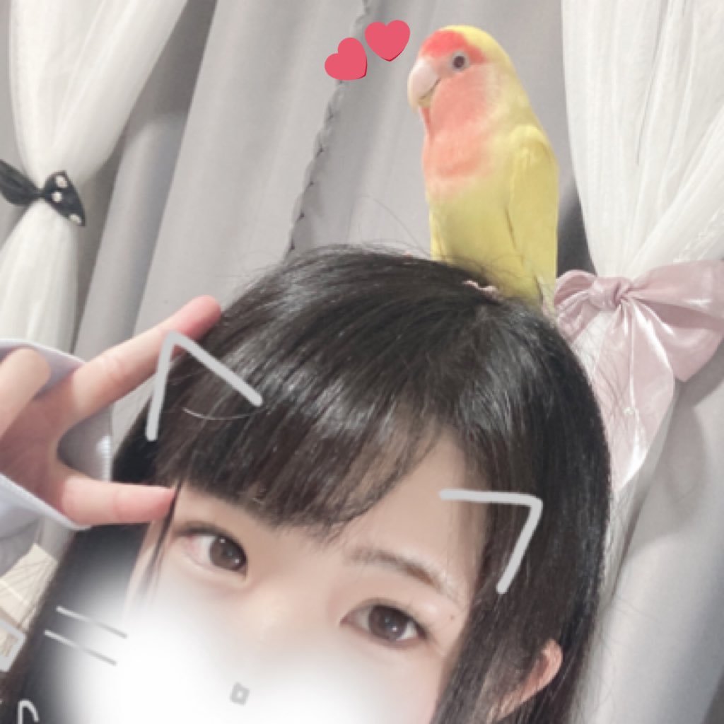 ha20251016's profile picture. 簿記2級/秘書2級/建設経理2級/衛生管理者1種/FP3級✍🏻会社の人事考課やべいので勉強垢復活しました😇ぎゃあ MOSとる、絶対とる（笑）