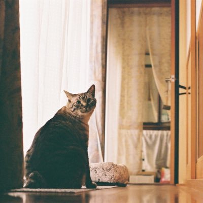 runxrun18520126's profile picture. 