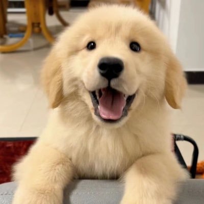 tyrd1erfnbr's profile picture. 15 🇪🇪| play for ??? | goat @YtvytvG @b1ldexHard |