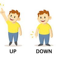 AnonymousTX3's profile picture. 