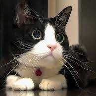 DualisJuke80616's profile picture. 日常を切り取ってコメントしたりしてます😊