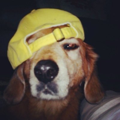 lost1f0's profile picture. 