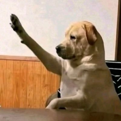 Blvckibrahim's profile picture. If I follow you and you don’t follow back, don’t play surprised when you wake up unfollowed the next day. I don’t wait. I don’t remind. I just disappear