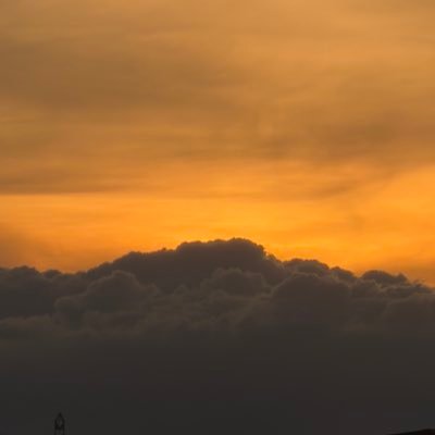 Minkmeng's profile picture. 