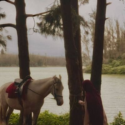 disjDtqEeHC55lB's profile picture. 