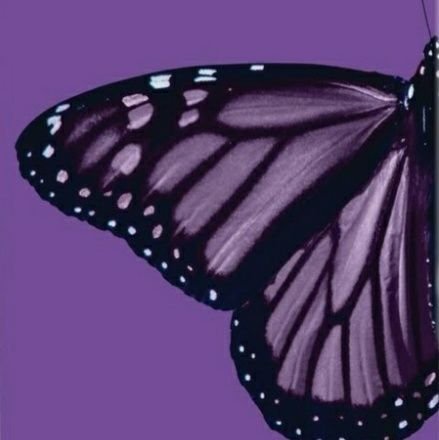 lisa_msutu's profile picture. ...A writer, I think, is someone who pays attention to the world. ✍🏾💫💕