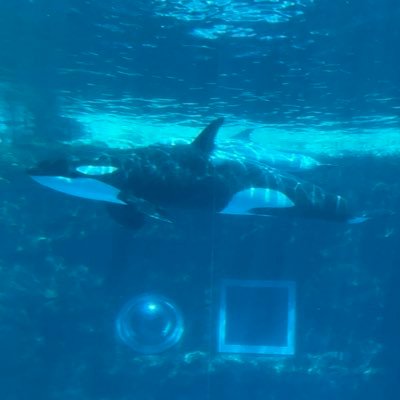 takedadon10's profile picture. 成人済腐女子。当垢ではVTuberさん関連のツイートが主になるかと思われます。多ジャンルに足を突っ込んでいるので話があっちこっちします。フォローは自己責任。