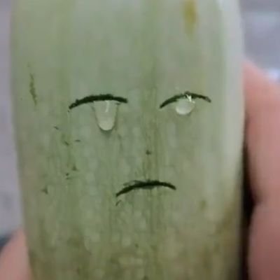 paspat02u's profile picture. 아이러브일론머스크