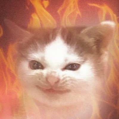 elsiemilliane's profile picture. this is my safest place you can’t ruin it