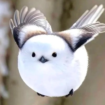 CasL166345's profile picture. 