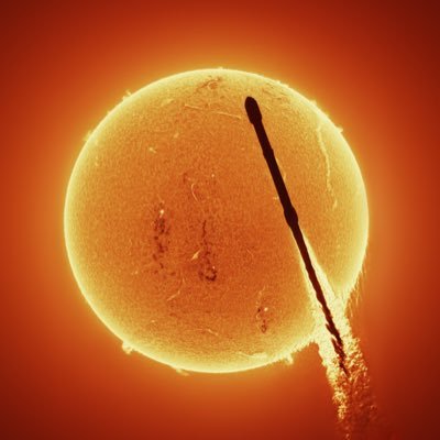 occisurg_primal's profile picture. 