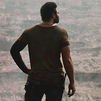 rebelnolan17's profile picture. 