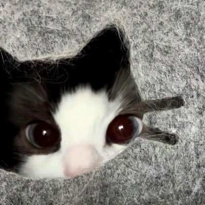 Jmml_____'s profile picture. เป็นผุ้หยิงนะเฟ้ย 04