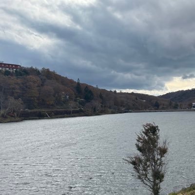 ia_ototetu's profile picture. 