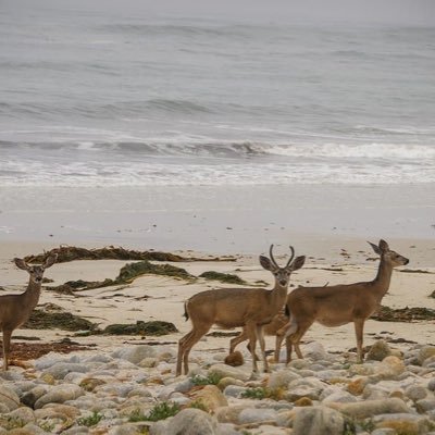 2m3l_'s profile picture. 