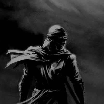 HB100x's profile picture. #PulseChain $PLS $PLSX $INC $HEX