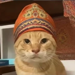 WhatsGone's profile picture. 顺势而为