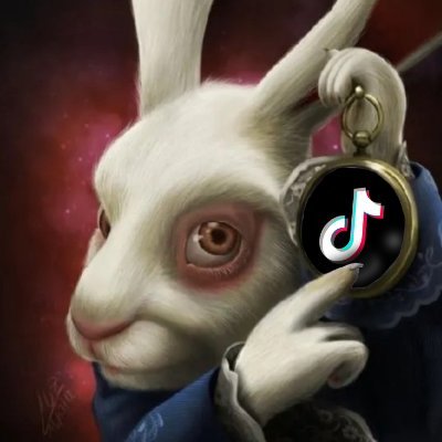 zebraecom's profile picture. affiliate