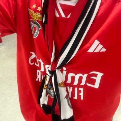 Vamossllbenfica's profile picture. SPORT LISBOA E BENFICA