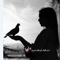 سيبال (@sybal31637) 's Twitter Profile