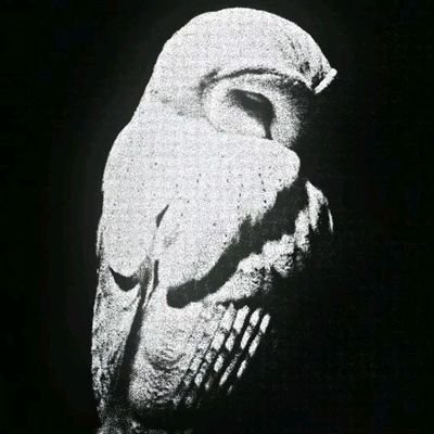 Neo324085's profile picture. 