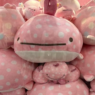 top10st's profile picture. PassCode BUNTAIの余韻から、アカウント作りました。ハッカーの皆さんと繋がりたい。 / 三十路ハッカー