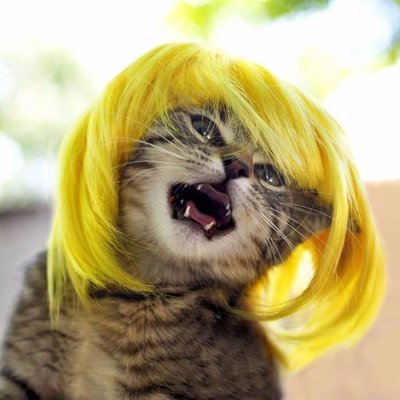 Jim_Watford's profile picture. 