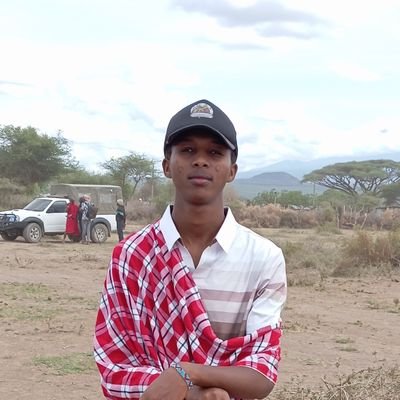 les_simoo's profile picture. Data analyst.
Research enthusiast.
Data and Health