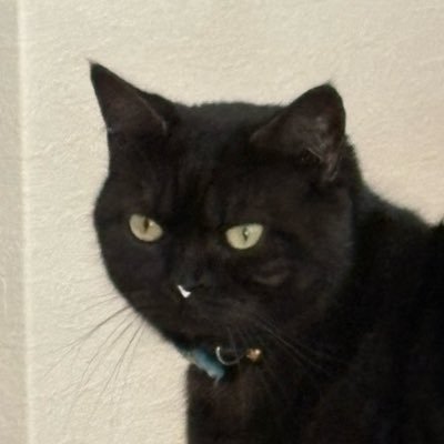 pp03xx_k's profile picture. プロニート