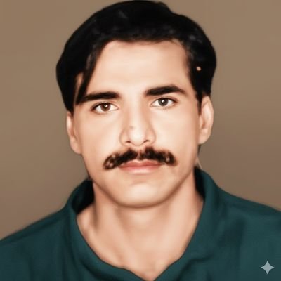liaqatkhan4gme3's profile picture. 100% فالو بیک ملے گا