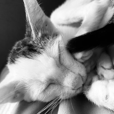 klassical_ayo's profile picture. iTradeICT📈📉. IG: ayofxsetups https://t.co/E0nSfHh1Tb