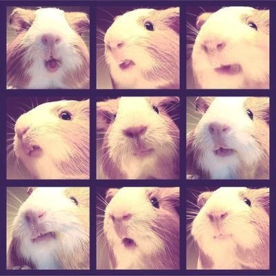 ilyses's profile picture. 