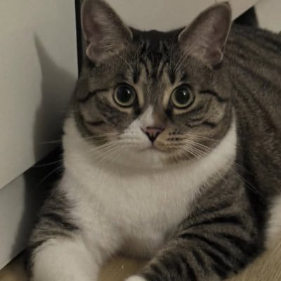 jj9804158's profile picture. ❤️대피계: @hugl53a❤️여자얼굴이랑 반응보면서 흔들어요❤️광고,협찬,홍보는 디엠주세요❤️