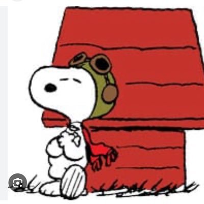 Pavehawk69's profile picture. I Fight For My FAM And Am Ready For The Next Step🇸🇪🇬🇧🇨🇮🇩🇪⚡️⚡️