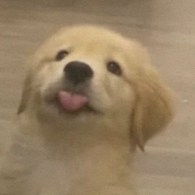 KUROK48's profile picture. กลับมาเล่นอีกรอบจากสมัย twitter จนเปลี่ยนโดเมนป็น X | รีไปเรื่อยช่วยโปรโมทน้องๆ #หนีไปก็ตายเปล่า งับ อิอิ