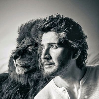 AkhilMukkamalla's profile picture. love towards risers everywhere 🫰
👉 : @SunRisers & @SunrisersEC