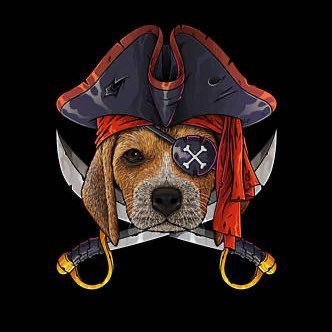 BeaglePirate68's profile picture. Habitual Line-Stepper | #GoUtes 🏈🏀