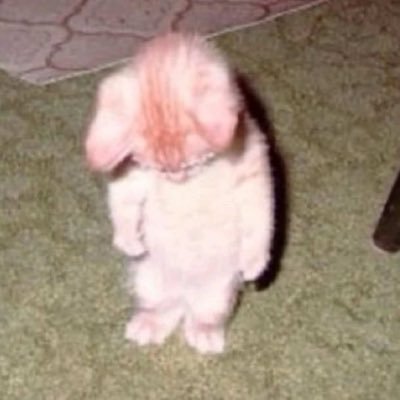 neroclit's profile picture. 