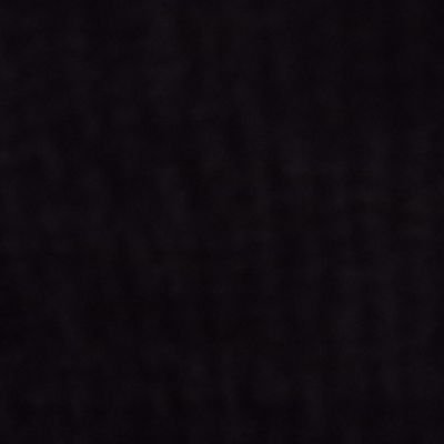 LaloVzq00225087's profile picture. 