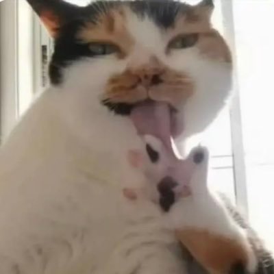 mmx709575609's profile picture. 