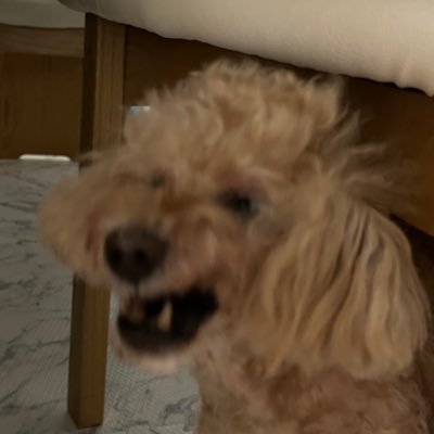 Nagisawa_Karin's profile picture. 「明日を生きる、すべての不器用たちへ」  ナギサワカリンというシンガーソングライターをしておりました。