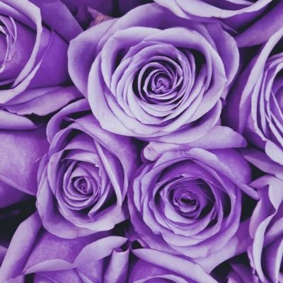 dlamz_minor's profile picture. Loves God,  New York, Mathematics and Cooking (no dishes🚫) Born to have fun