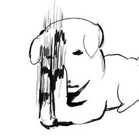 didi1234098's profile picture. 