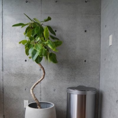 log_seikatsu's profile picture. 