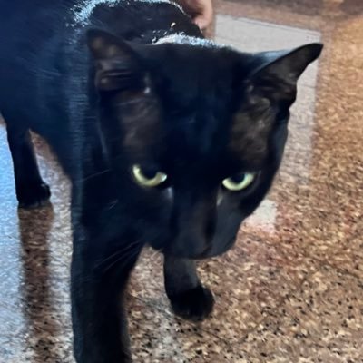 ntforyou_qz's profile picture. #dek69