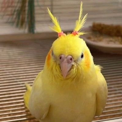 thisiswwhy's profile picture. 