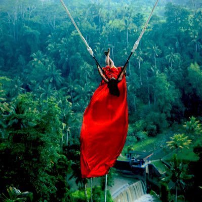 FreeSpiritbird9's profile picture. Just here for Fun